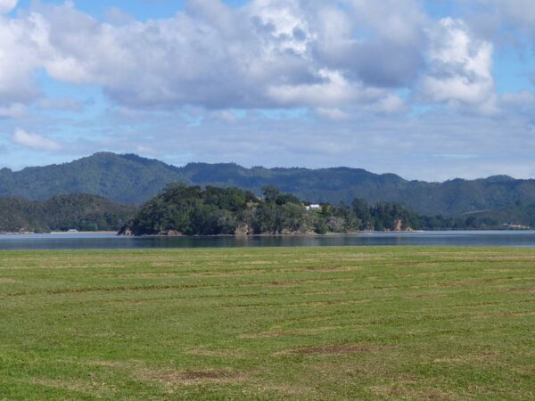 A view of a small island in a sheltered harbour with low mountain the background and a grassy field in the foreground.